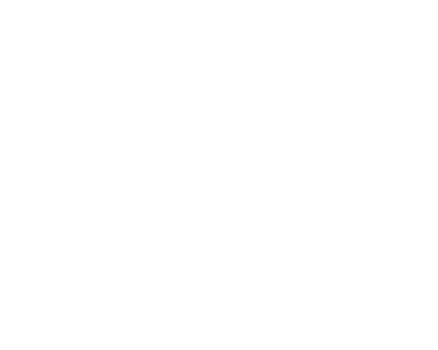 Have fun! Teppanyaki shop Grill Plancha